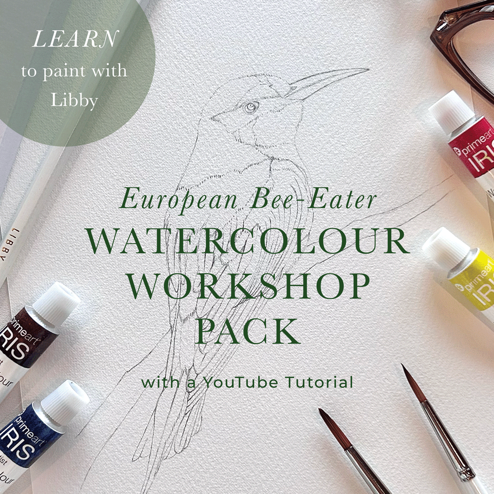 *Pre-Order* European Bee-Eater Watercolour Workshop Pack