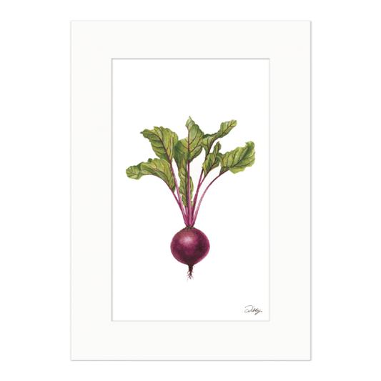 Beetroot Study Print