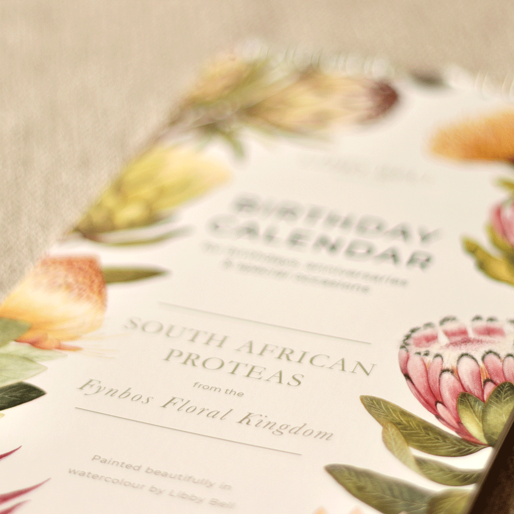 South African Proteas Birthday Calendar