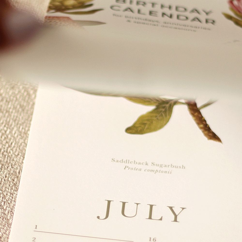 South African Proteas Birthday Calendar