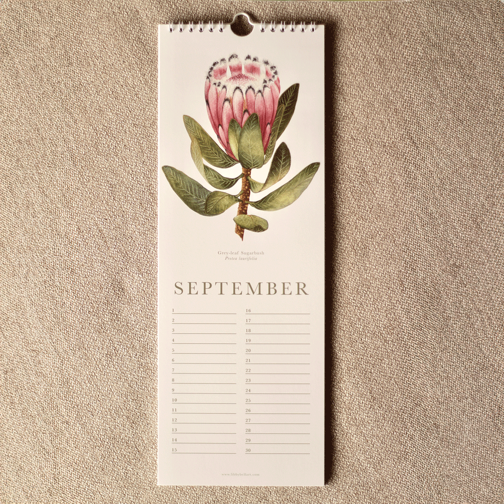 South African Proteas Birthday Calendar