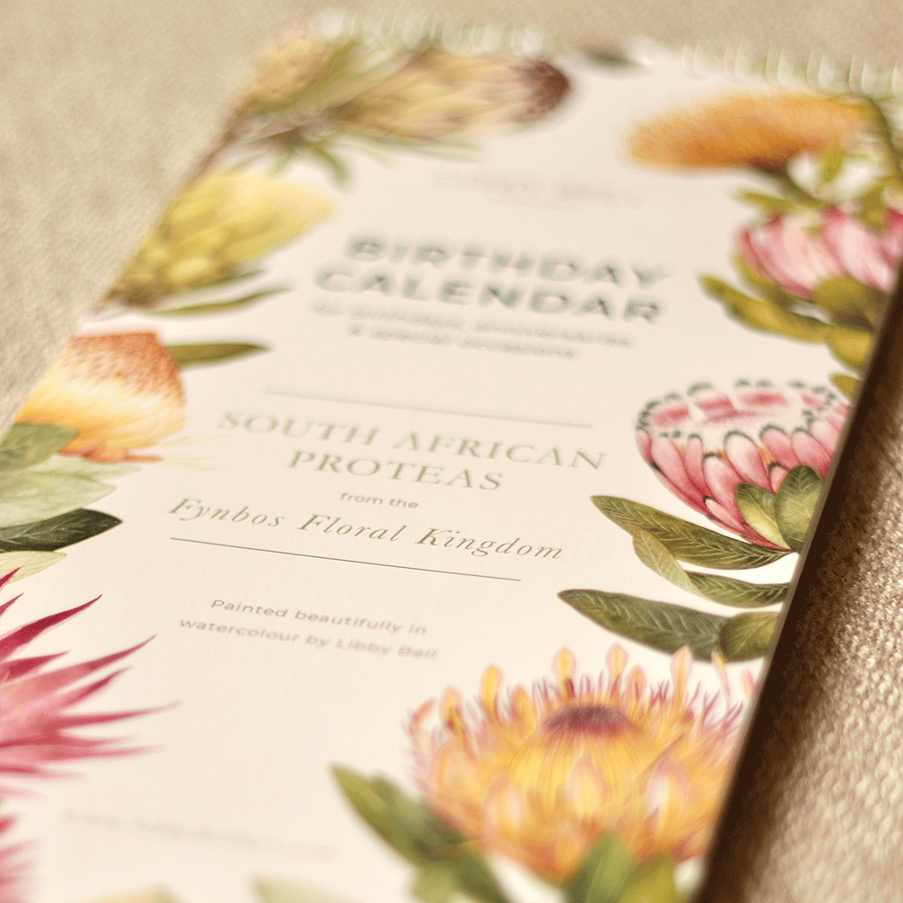 South African Proteas Birthday Calendar