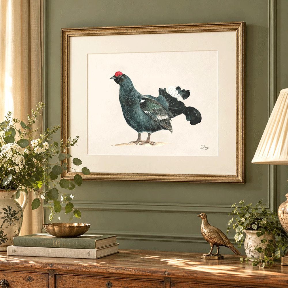 Black Grouse Print