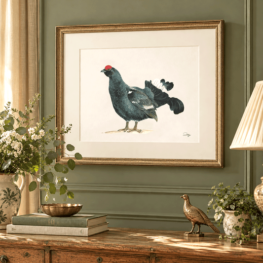 Black Grouse Print