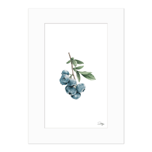 Blueberry Study Print