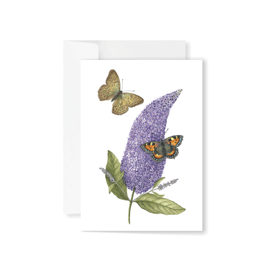 Buddleja salviiflora, Tortoiseshell and Silver-washed Fritillary Greeting Card
