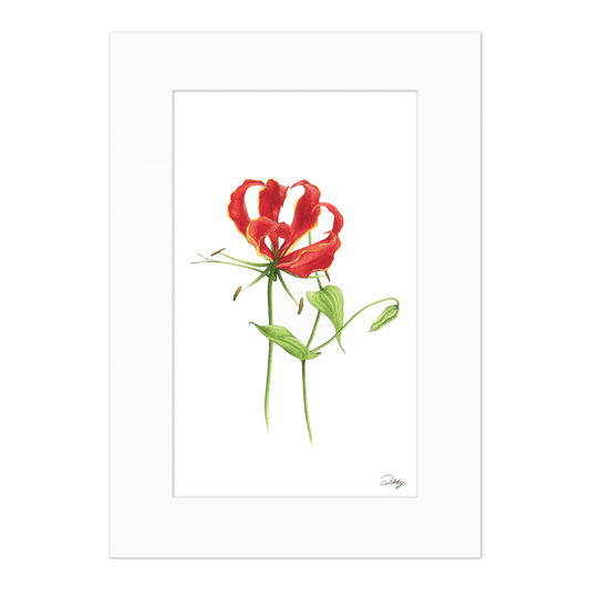 Flame Lily Print