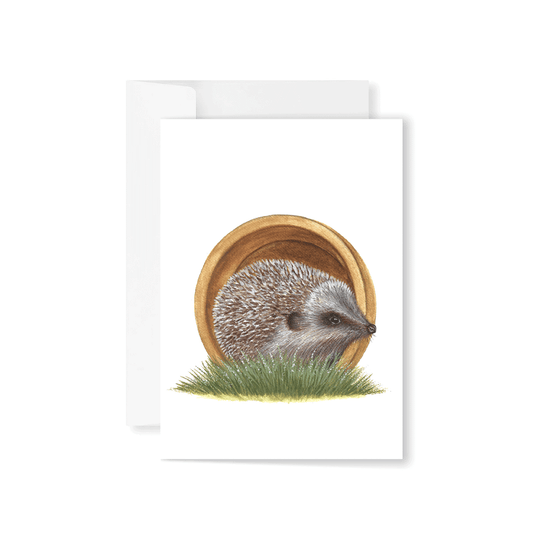 A little hedgehog in a terracotta pot Greeting Card
