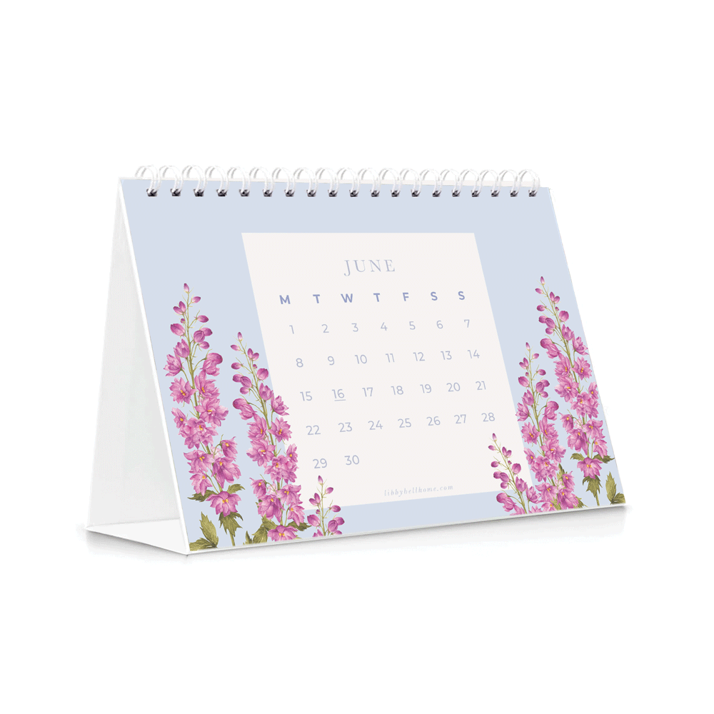 *PRE-ORDER* 2026 Mini Calendar