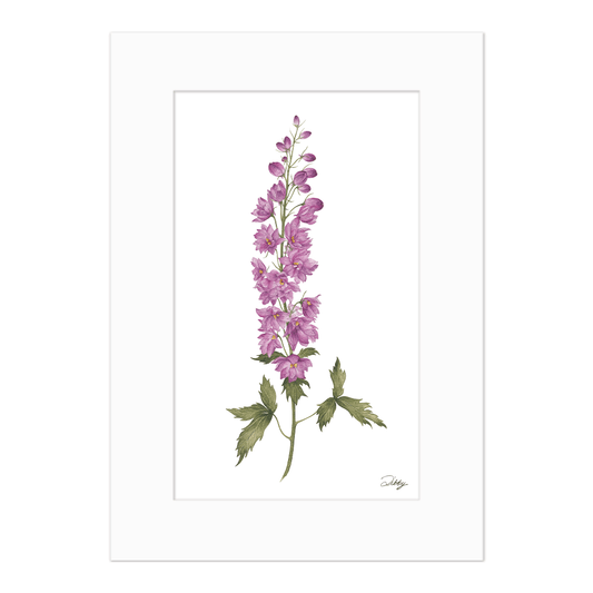 Larkspur i Print