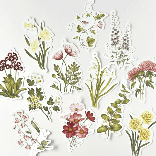 Flower Studies Gift Tags (set of 12)