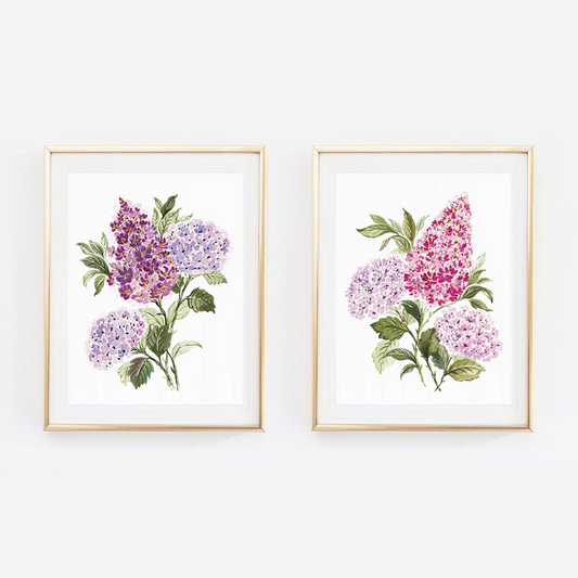 Lilacs & Hydrangeas Print Pair