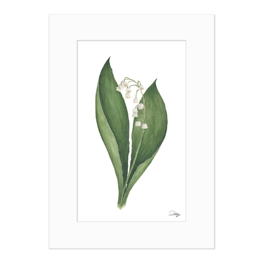 Lily of the Valley Print
