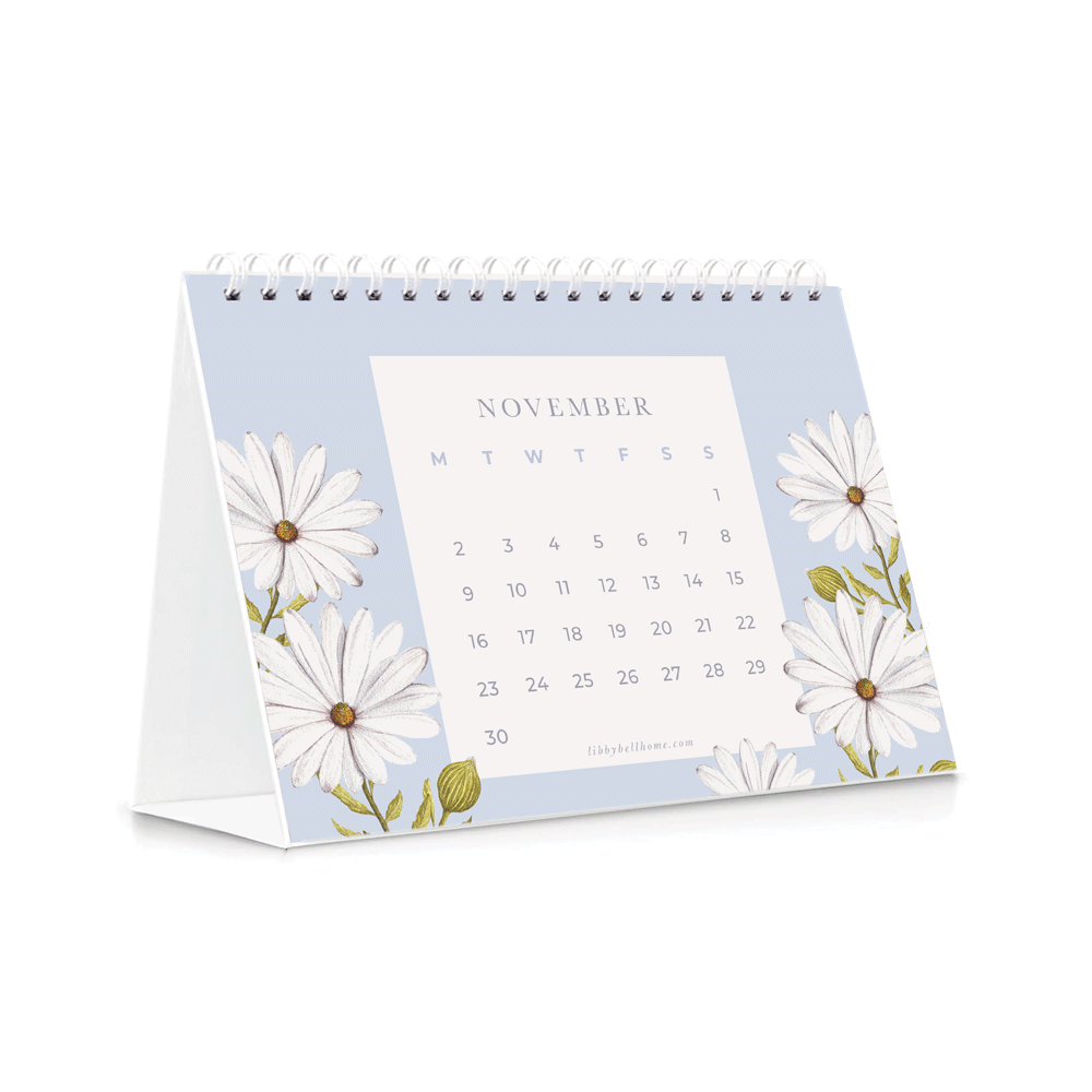 *PRE-ORDER* 2026 Mini Calendar