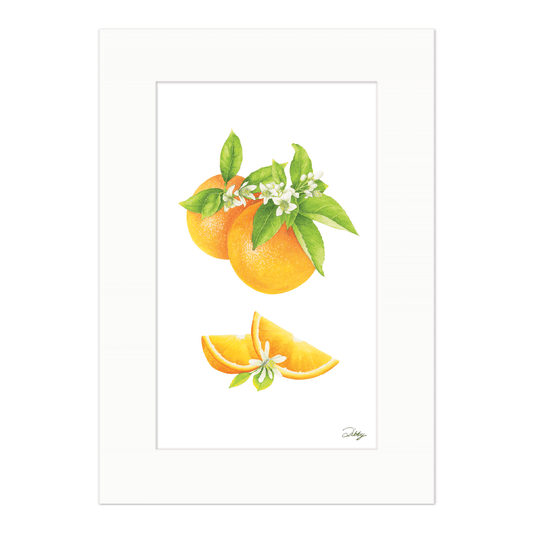Oranges Print