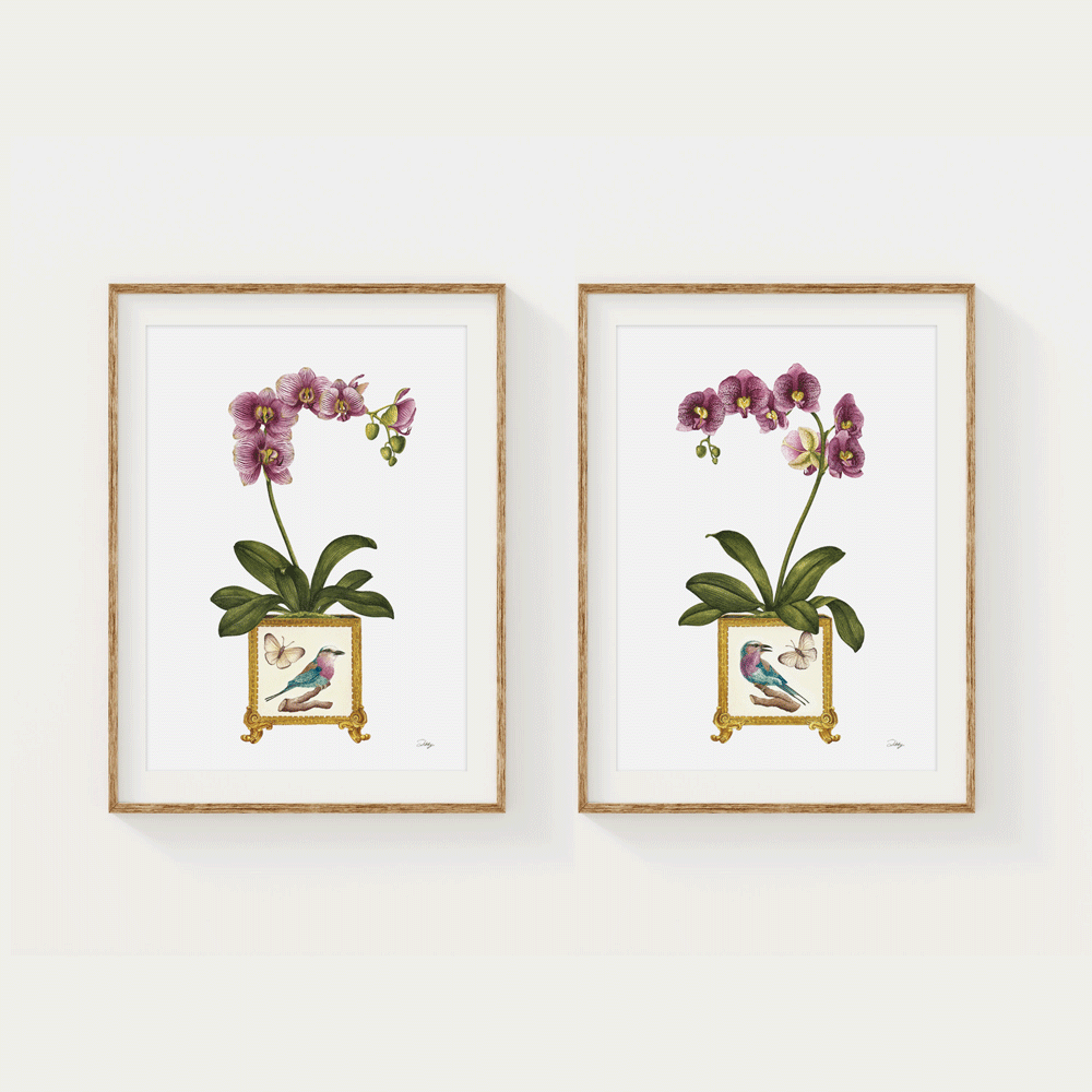 Orchid in Vase with Lilac-breasted Roller (1) Print