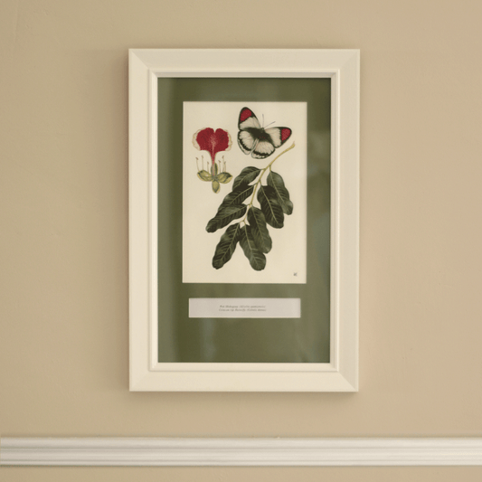 African Pod Mahogany with a Crimson-tip Butterfly - Framed Original Painting