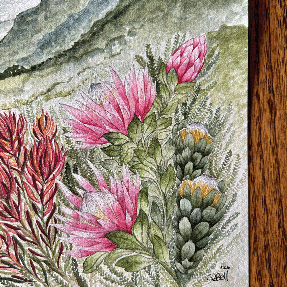 Protea Valley - Unframed Original Painting