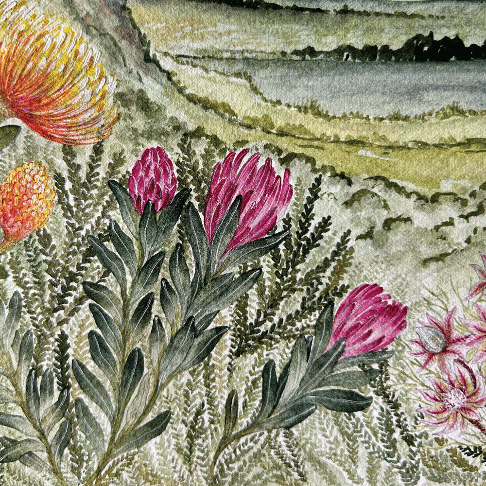 Protea Valley - Unframed Original Painting