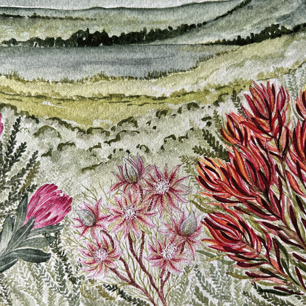 Protea Valley - Unframed Original Painting