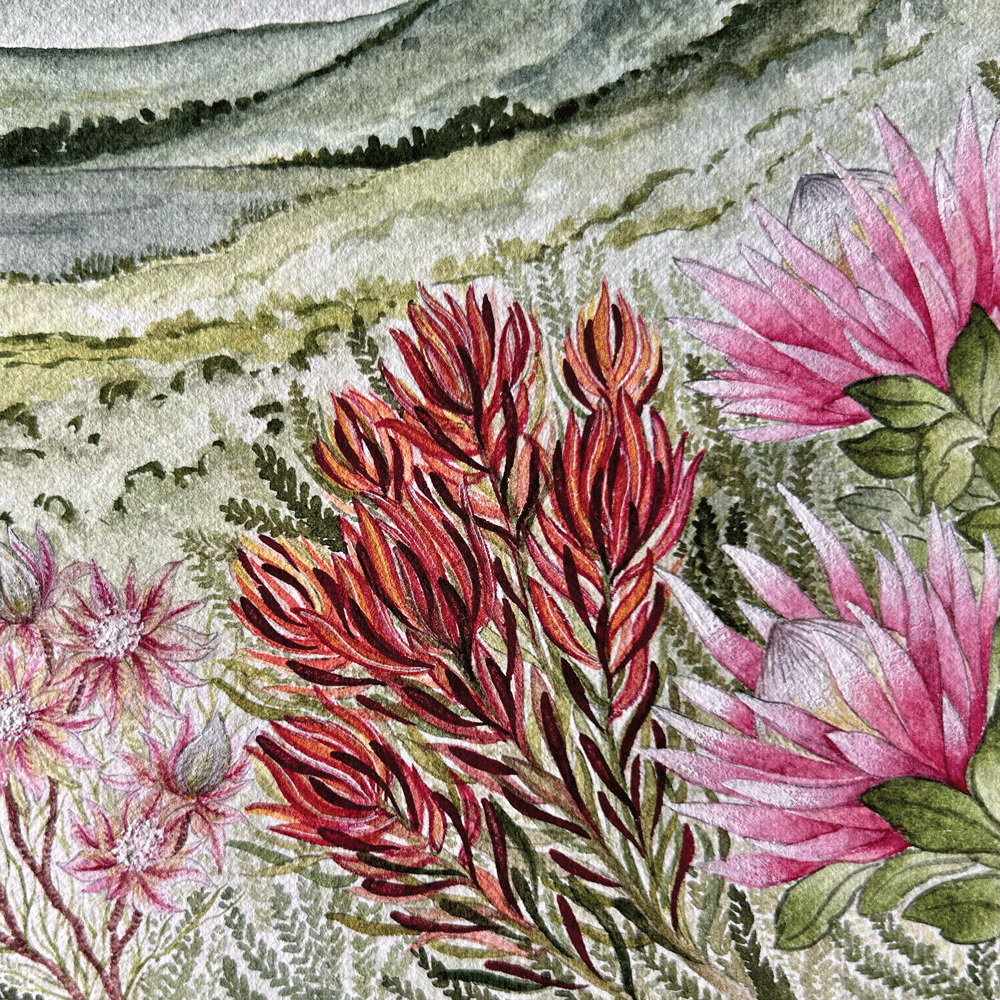 Protea Valley - Unframed Original Painting
