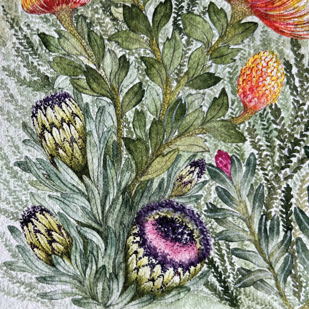 Protea Valley - Unframed Original Painting
