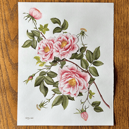 Pink Rose Study - Unframed Original Painting with Assemblage