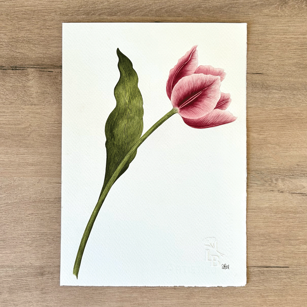 Tulipa 'Carnival de Nice' - Unframed Original Painting