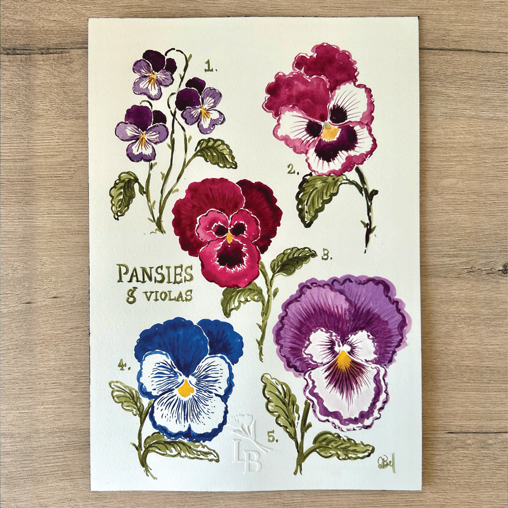 Pansies & Violas - Unframed Original Painting