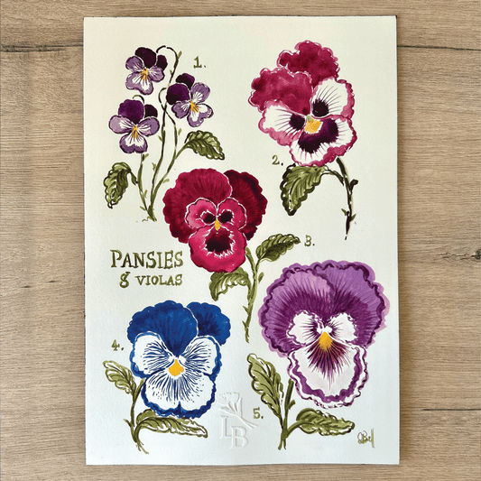 Pansies & Violas - Unframed Original Painting