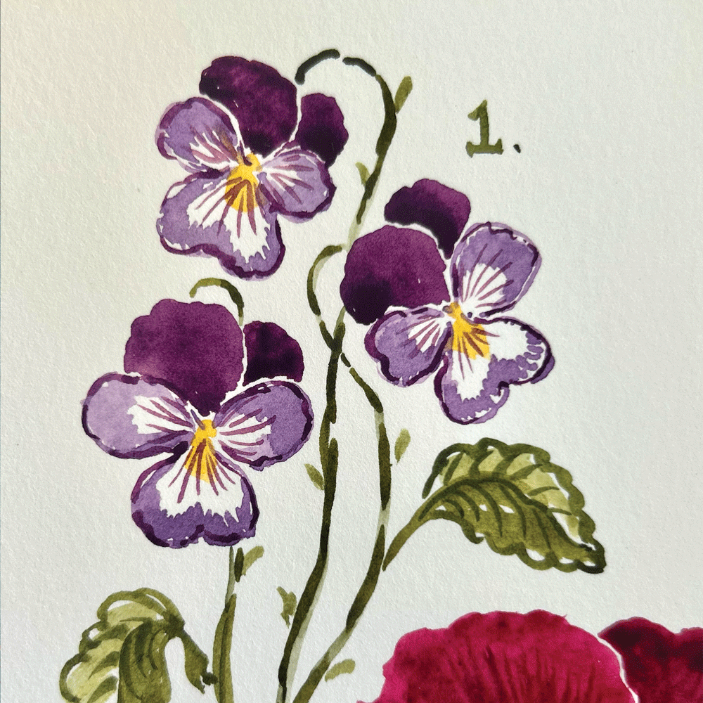 Pansies & Violas - Unframed Original Painting