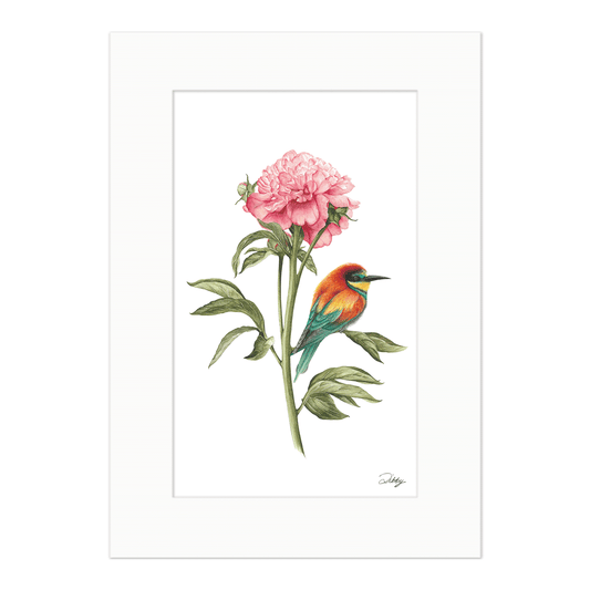 Peony with Bee-Eater Print