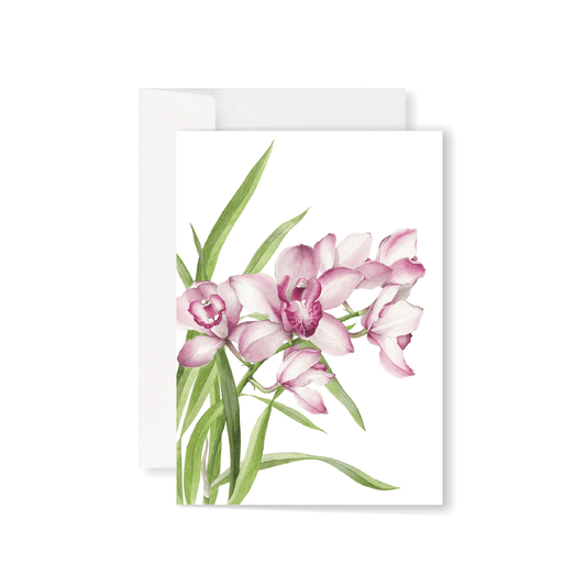 Pink Cymbidium Orchids greeting card
