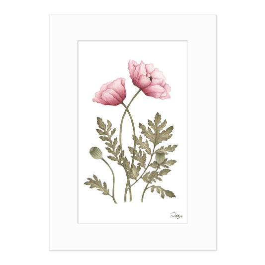 August - Poppies Print