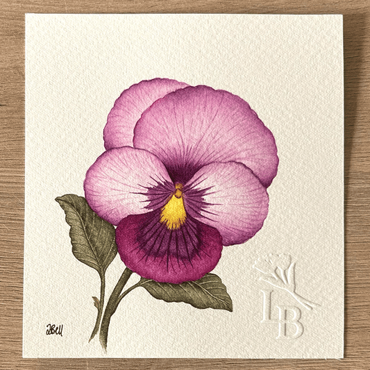 Pansy "Pink Punch"  - Unframed Original Painting