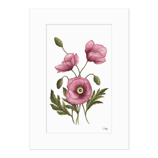 "Imperial Pink" Poppy Print