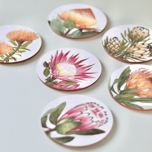 Proteas of RSA Coaster Set