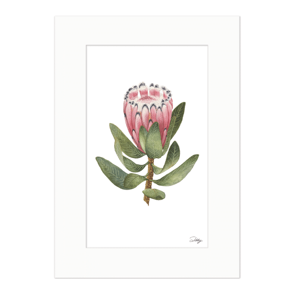 PRINTS