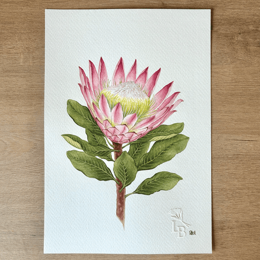 King Protea (Protea cynaroides) - Unframed Original Painting