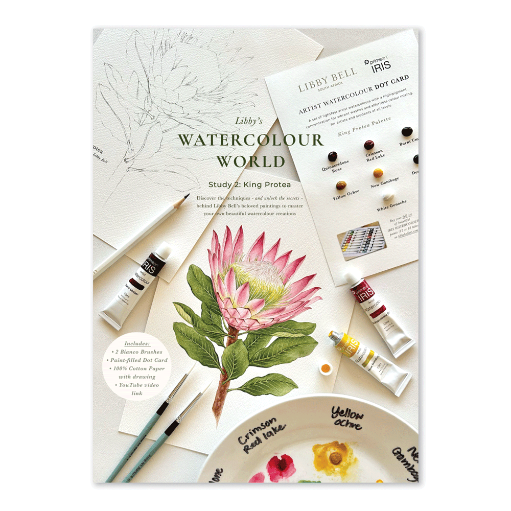 Watercolour Workshop Bundle - Set of 3 Studies