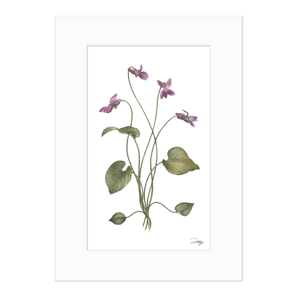 Purple Violets Print