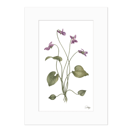 Purple Violets Print