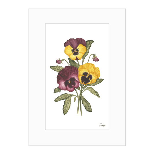 Pink & Yellow Pansy Trio Print