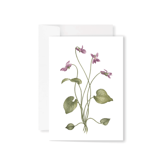 Purple Violets greeting card