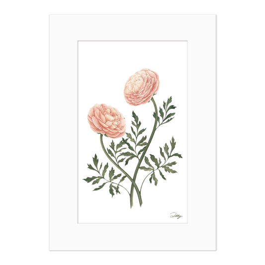 Ranunculus Print
