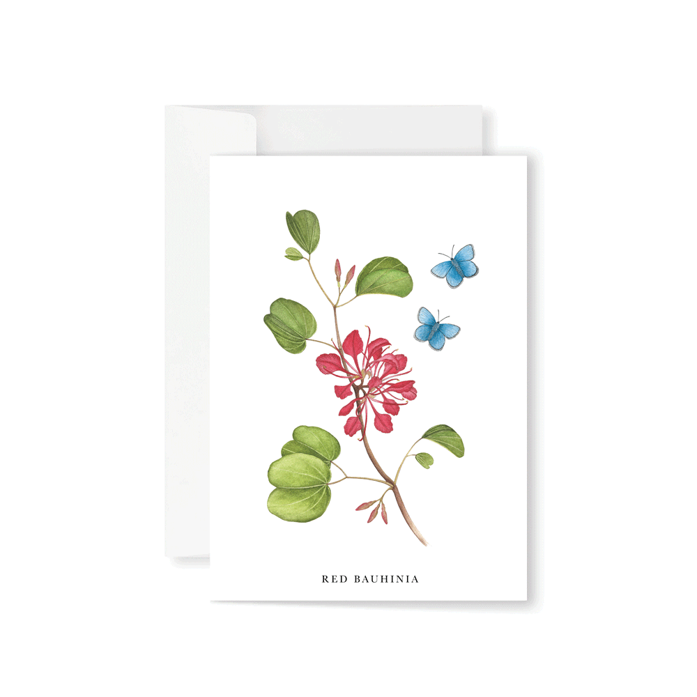 Red Bauhinia Greeting Card