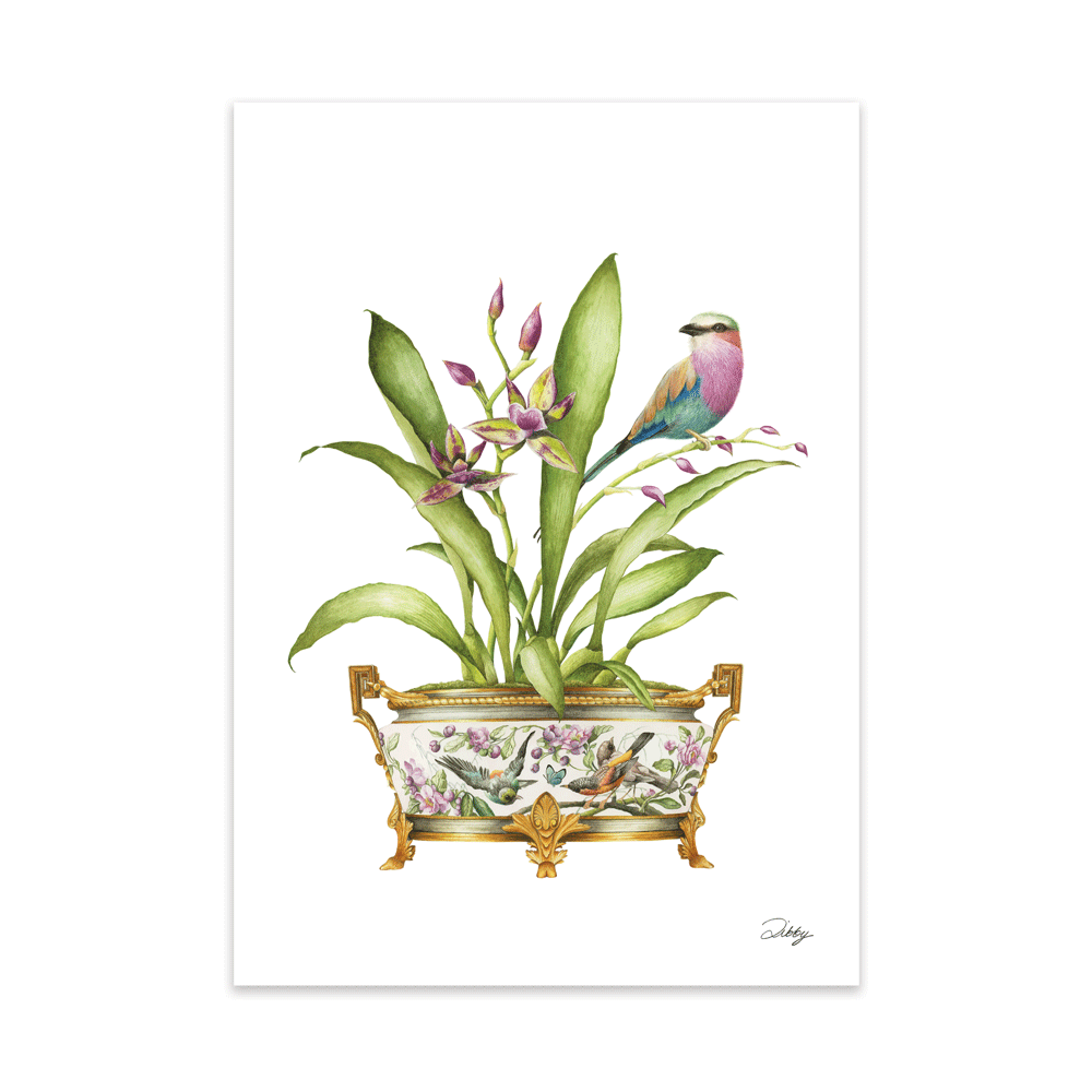 Orchids with Lilac-Breasted Roller in Planter