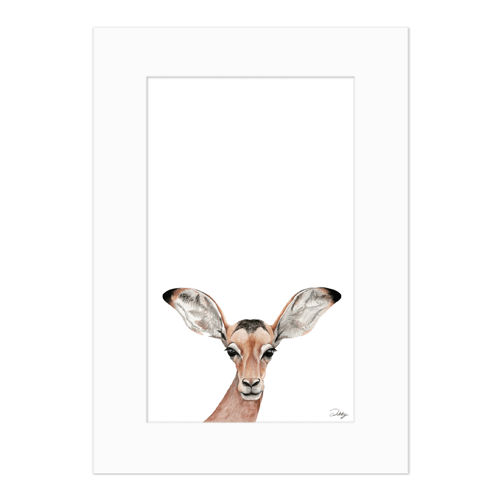 Baby Impala - Portrait