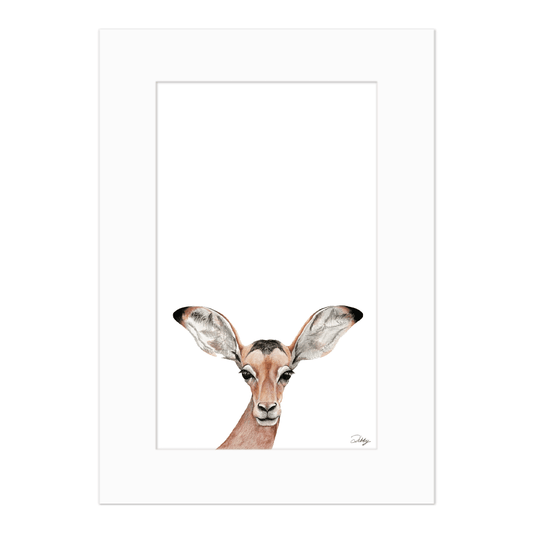 Baby Impala - Portrait