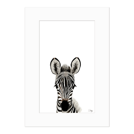 Baby Zebra - Portrait